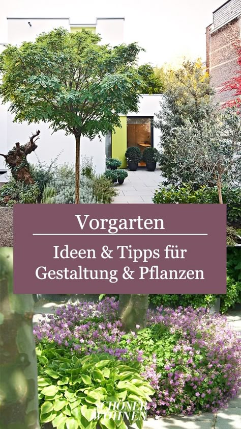 Vorgarten gestalten und bepflanzen: Ideen und Tipps, mit denen ihr einen pflegeleichten Eingangsbereich schafft. Diy Basket, Outdoor Inspirations, Garden Inspiration, Accent Decor, Alexander, Spa, Canning, Plants