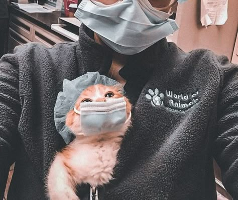 Vet Pictures, Vet School Motivation, Social Media Manager Content, Vet Tech School, Vet Medicine, Nurse Aesthetic, Medical Wallpaper, Vet Assistant, Vet School