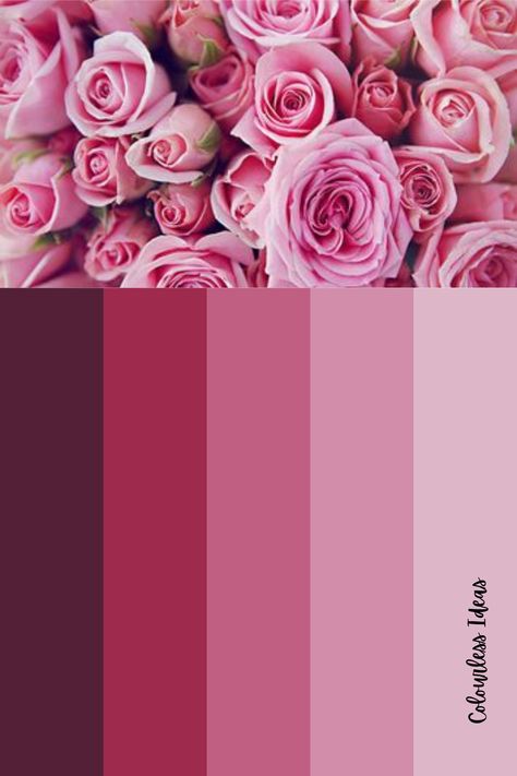 Dark Pink Color Palette Colour Schemes, Berry Pink Color Palette, English Rose Color Palette, Onion Pink Colour Palette, Pastel Pink Wedding Theme Colour Palettes, Valentine Color Pallete, Shades Of Pink Wedding Colour Palettes, Dark Pink Color Palette, Rose Colour Palette