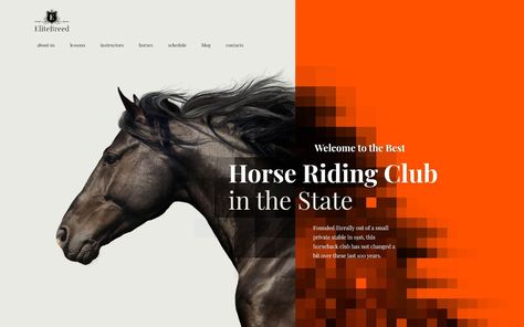 Elite Breed - Equestrian & Horse Riding Club WordPress Theme Bull Rider, Blog Writing Tips, Sports Templates, Horse Riding Equestrian, Free Horses, Web Template Design, Horse Training, Web Templates, Horse Farms