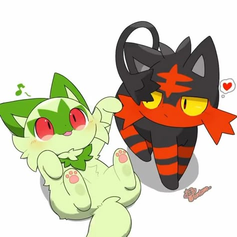 Litten And Sprigatito, Pokemon Incineroar, Cat Pokemon, Pokemon Fusion Art, Pokemon Starters, Poke Ball, Pokemon Breeds, Pokemon Eeveelutions, Cat Reference