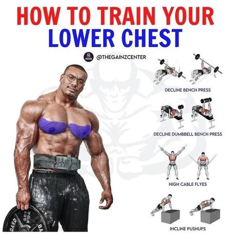 Lower Chest Exercises, Upper Chest Workout, Chest Training, Chest Workout Routine, Best Bodybuilding Supplements, Gym Routines, Hardcore Workout, Best Workout Plan, Chest Exercises