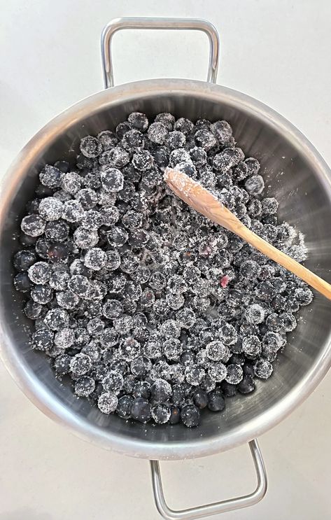 Concord Grape Jam Recipe For Canning - Sweet and Savory What Can I Do With Concord Grapes, What To Do With Concord Grapes, Concord Grape Jam Recipe Canning, Canning Concord Grapes, Concord Grape Jam With Pectin, Concord Grape Recipes, Grape Jam Recipe, Blueberry Jelly, Jelly Sweet