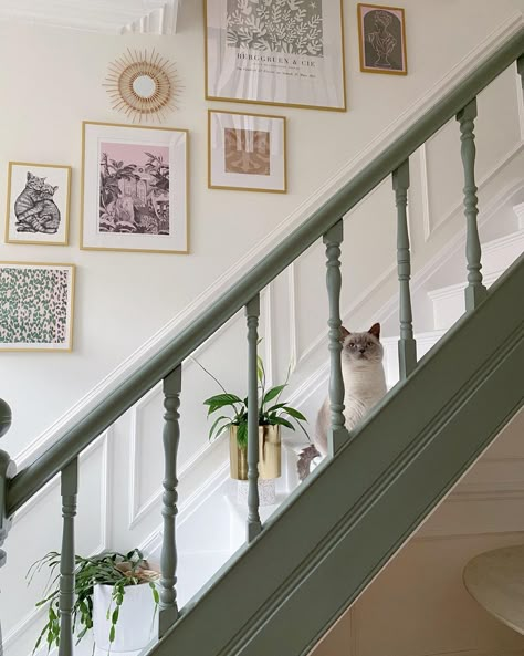 Coloured Bannister Ideas, Painted Skirting And Door Frames, Coloured Banisters Stairways, Colourful Bannister, Dark Green Stairs, Sage Staircase, Banister Paint Ideas, Green Bannister, Green Banister