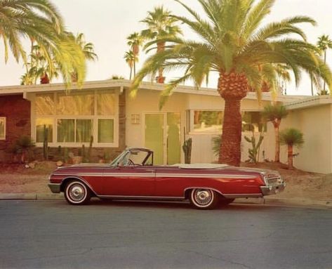 Mid Century Modern Los Angeles, 50s Palm Springs Aesthetic, Mcm Architecture, Palm Springs Aesthetic, Modernist Home, Save File, Laurel Canyon, Los Angeles Homes, Mid Century House