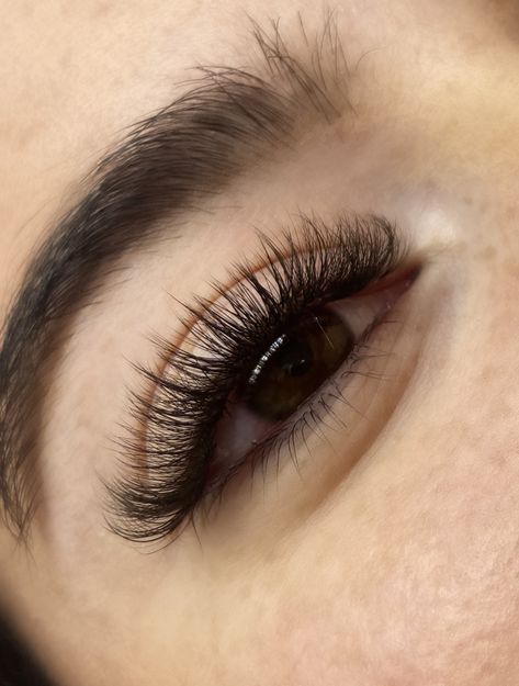 Hybrid Lash Extensions 12mm, 12mm Lash Extensions, Short Doll Eye Lashes, Thick Cat Eye Lash Extensions, Kitten Eyelash Extensions, Fluffy Cat Eye Lash Extensions, Hybrid Lash Extensions Wispy, Cat Eye Hybrid Lash Extensions, Russian Volume Lashes Cat Eye