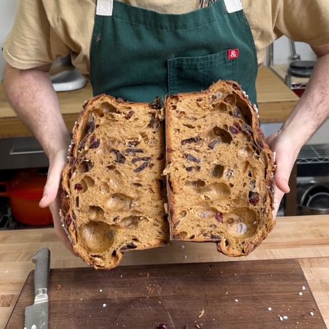 Chocolate Panettone Recipe, Sourdough Panettone, Cherry Sourdough, Chocolate Panettone, Italian Panettone, Panettone Recipe, Love The Process, Sourdough Bread Recipe, Sour Cherry