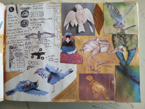 Birds mood board Bird Mood Board, Mood Board Nature, Past Papers, Board Inspiration, Mood Board Inspiration, Gcse Art, Inspiration Art, Bird Art, Mood Board