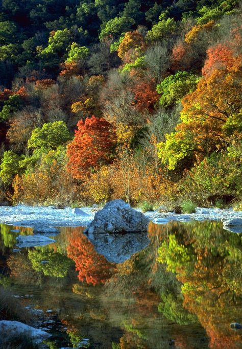 Lost Maples State Park, Fall In Texas, Marble Falls Texas, Hiking In Texas, Texas State Parks, Texas Places, Texas Parks, Fall Road Trip, Marble Falls