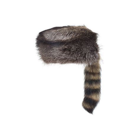 Davey Crocket Raccoon Fur Hat ($179) ❤ liked on Polyvore featuring accessories, hats, american hats, caps hats, fur cap and fur hat Raccoon Hat Aesthetic, Hats American, Raccoon Accessories, Raccoon Clothes, American Hats, Brown Russian Fur Hat, Cossack Hat, Rabbit Fur Hat, Pink Goth