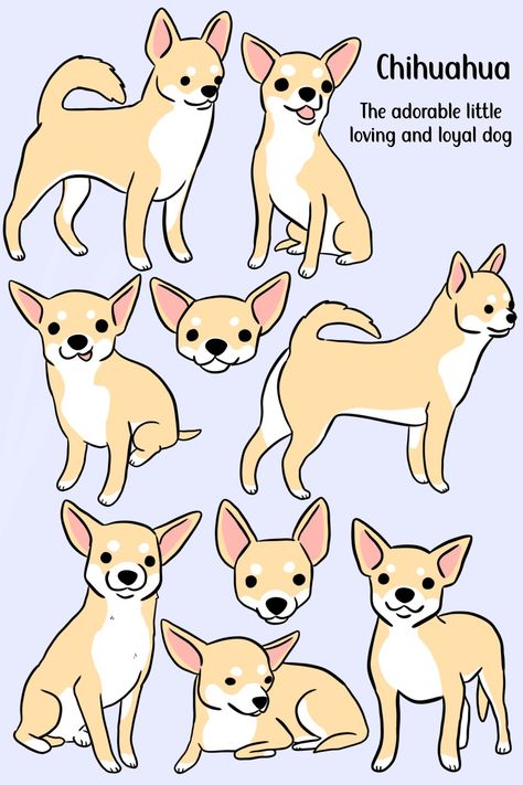 Cute chihuahuas illustration pattern adorable little chihuahuas art Drawing Cartoon Dogs, Cute Chihuahua Drawing, Chihuahua Drawing Simple, Chihuahua Doodle, Chibi Chihuahua, Chihuahua Art Drawing, Chihuahua Drawing Cartoon, Cute Chihuahuas, Chiwawa Puppies