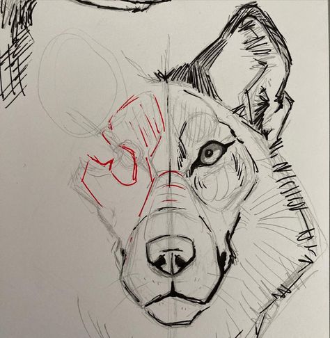 Drawing Wolf Head, Wolf Open Mouth Drawing, Wolf Mouth Open, Dog Head Drawing, Wolf Anatomy, Wolf Art Drawing, Wolf Face Drawing, Dog Face Drawing, Wolf Poses