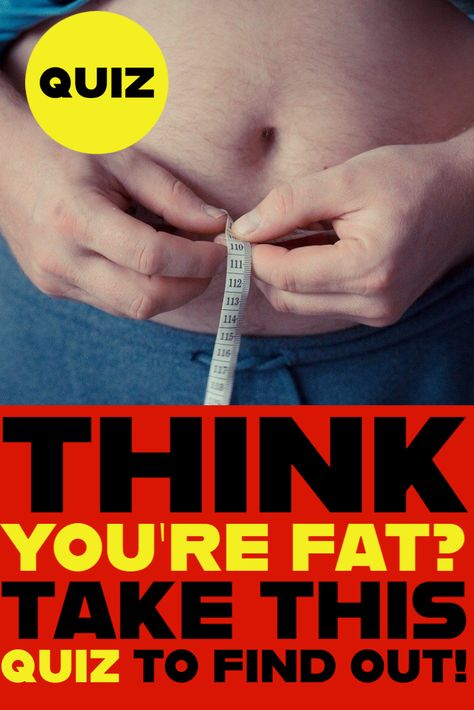 Think you're fat? Take the quiz and find out! #quiz #quizzes #fat Big Five Personality Traits, Personality Type Quiz, Fat Person, School Quiz, Free Personality Test, Fat Positive, Health Quiz, The Adventure Challenge, Adventure Challenge