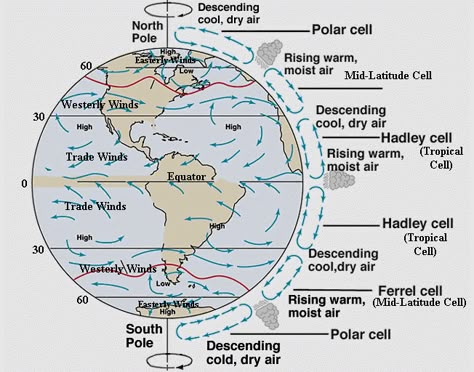 Coriolis Effect Coriolis Effect, Patterns Worksheet, World Geography Map, Earth's Rotation, Atmospheric Circulation, Geography Classroom, Basic Geography, Weather Lessons, Ias Study Material