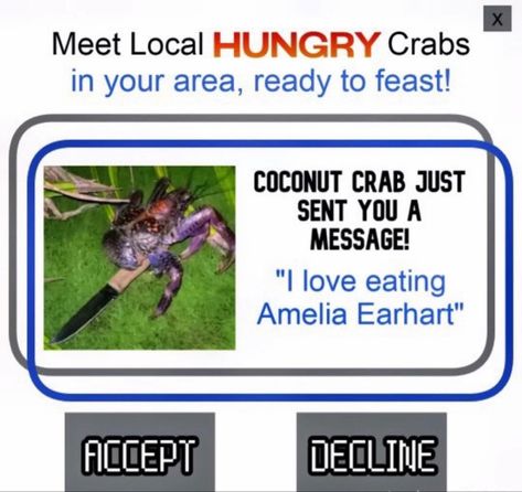 Amelia Earhart Coconut Crab, Crab Meme, Coconut Crab, Amelia Earhart, Animals Funny, Shrek, Cute Funny Animals, Funny Laugh, Mood Pics