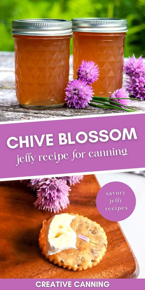 Savory Chive Blossom Jelly: Canning for Beginners - If you're looking for a unique and flavorful twist on your traditional home canning recipes, then you have to try making chive blossom jelly. This savory jelly is made with fresh chive flowers and is perfect for capturing the flavors of summer. Not only does it look beautiful, but it's also incredibly easy and fun to make, and you can use it as a condiment, salad topping, gift, or even just snack on it straight from the jar! Savory Jam Recipes For Canning, Flower Jelly Recipes, Herb Jelly Recipes, Unique Jelly Recipes, Unique Jams And Jelly Recipes, Chive Blossom Uses, Chive Flowers Recipe, Jams And Jelly Recipes, Canning Jelly Recipes