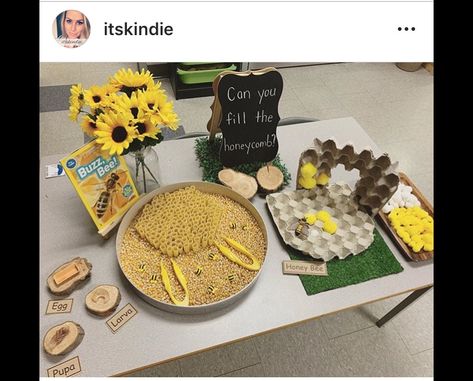 Bee Day Eyfs, Bee Provocations, Bee Activities Eyfs, Sunflower Provocation, Bee Sensory Activities, Mini Beast Activities Eyfs, World Bee Day Activities For Kids, Mini Beasts Eyfs, Bees Eyfs