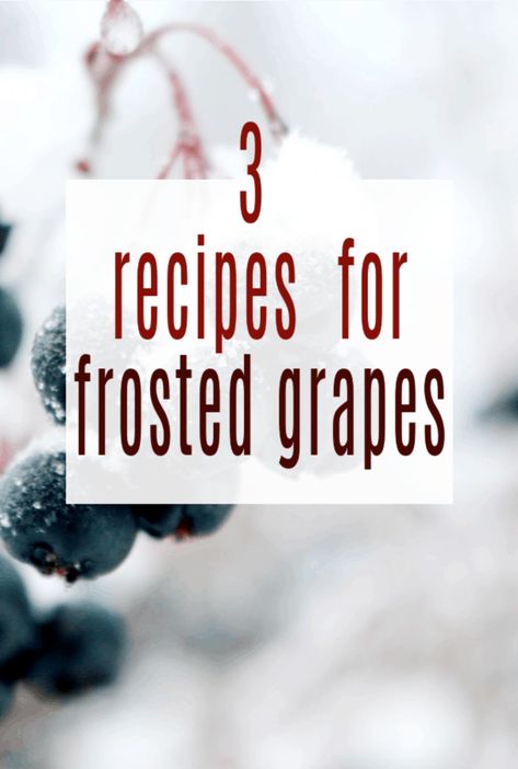 Frosted Grapes Recipe, Grapes Frozen, Frosted Grapes, Budget Food Shopping, Family Budgeting, Sugar Sticks, Grape Uses, Frozen Grapes, Grape Recipes