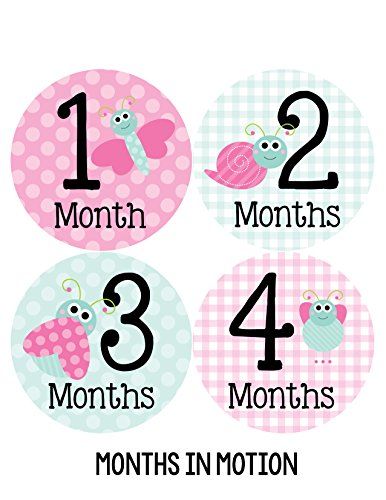 $15.00 -- More info could be found at the image url. Baby Girl Stickers, 12 Month Milestones, Cute Bugs, Baby Month Stickers, Project Life Scrapbook, Milestone Stickers, Newborn Photography Poses, Monthly Baby, Baby Monthly Milestones