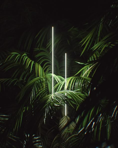 ArtStation - JUNGLE LIGHTS, Frederic Kokott Neon Plants Wallpaper, Jungle Lighting, Jungle Photos, Neon Wallpaper Iphone, Art Deco Jungle, Night Jungle, Jungle Aesthetic, Jungle Background, Neon Light Wallpaper