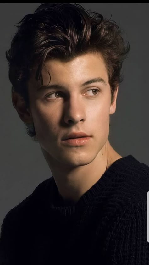 Portrait Reference Celebrity, Sean Mendes Hair, Shawn Mendes Portrait, Shawn Mendes Haircut, Shawn Mendes Face, Shawn Mendes Hairstyle, Foto Shawn Mendes, Shawn Mendes Aesthetic, Shawn Mendes Hair