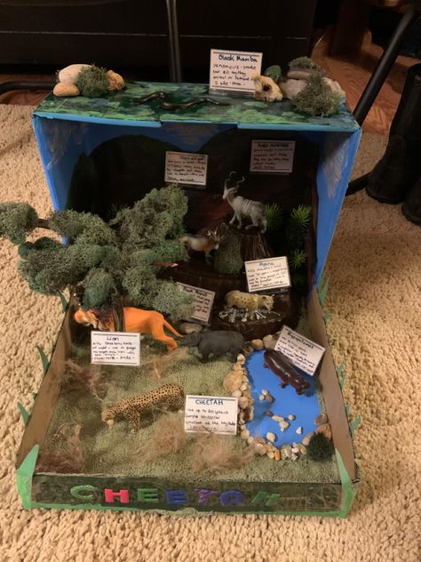 Cheetah Habitat, Habitat Project, Diorama Kids, Habitats Projects, Book Cover Art Diy, Blue Ridge Mountain, Science Project, Animal Projects, Book Cover Art