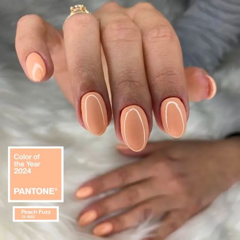 Fashionistas worldwide celebrated the high-profile color of 2024: Peach Fuzz. The shade was advertised by the Pantone Institute and is a soft, pinkish..., #nail Peach Wedding Nails, Peach Fuzz Nails, Monochrome Nails, Color Of The Year 2024, Sun Nails, Easy Hair Ideas, Peach Nails, Pantone Color Of The Year, Hairstyles Trendy