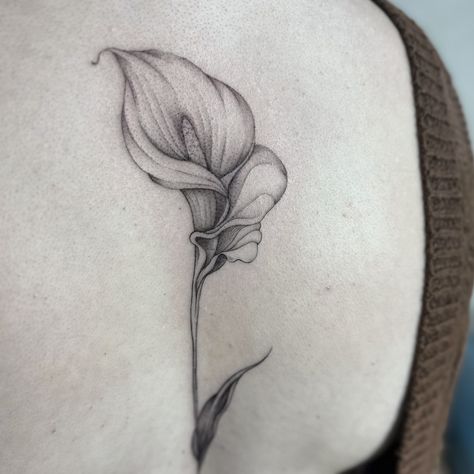 Calla Lily 🤍 . . . . . . . . . . #tattoolover #tattooedgirls #firsttattoo #tattoouk #tattoonortheast #tattoonewcastle #tattoonewcastleupontyne #tattooedmodels #floraltattoo #finelinetattoo #realismtattoo #botanicaltattoo #killerinktattoosupplies #killerinktattoo #flowertattoo Lily Flower Tattoo Designs, Calla Lily Tattoo, Lilly Flower Tattoo, Hand Tattoo Designs, Lillies Tattoo, Lily Tattoo Design, Tattoo Uk, Tattoo Zeichnungen, Lily Tattoo