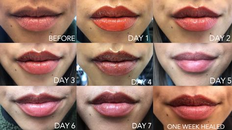 Ever wonder what happens with Lip Blush after your service is completed? Our artist @nicoleyuenbrows shows your her healing period after Micropigmentation appointment with @me.amanda.t Lip Blush Tattoo Before And After, Pmu Lips Healing Process, Lip Blushing Tattoo Healing, Lip Blush Healing Process, Las Extensions, Lip Blushing Tattoo Colors, Lip Blushing Tattoo Before And After, Lip Blushing Tattoo, Micropigmentation Lips