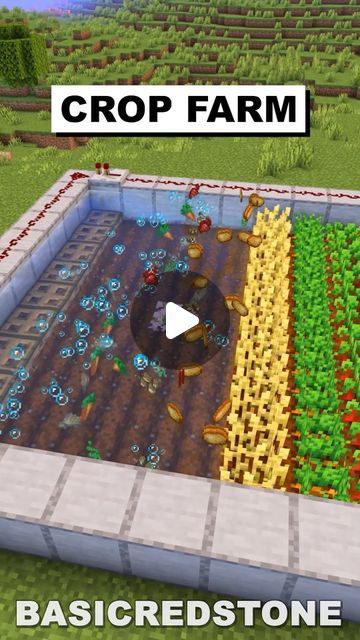 Minecraft Farm Crops, Crops Minecraft, Crop Farm Minecraft, Minecraft Crop Farm, Minecraft Farm Ideas Crops, Farm Minecraft, Crop Farming, Minecraft Farm, Minecraft