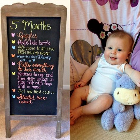 5 Month Baby, 8 Month Baby, Baby Captions, 5 Month Old Baby, 4 Month Old Baby, 4 Month Baby, Baby Milestones Pictures, Baby Month Stickers, Monthly Baby Pictures