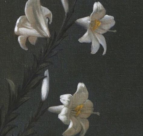 #echo #daffodil #narcissus #flower Narcissus Aesthetic Greek, Narcissus Flower Aesthetic, Narcissus Aesthetic, Echo Narcissus, Daffodil Aesthetic, Daffodils Aesthetic, Narcissus Painting, Echo And Narcissus, Daffodil Narcissus