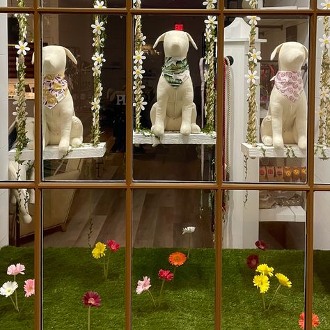 Pet Store Display, Dog Boutique Ideas, Pet Store Design, Spring Window Display, Pet Store Ideas, Pet Grooming Salon, Dog Window, Dog Grooming Shop, Sitting Dog