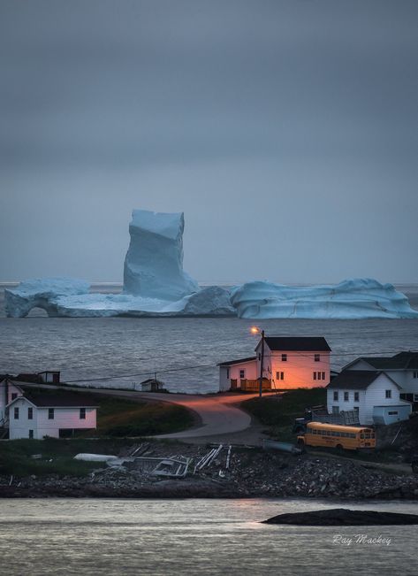 Fogo Island Newfoundland, Fogo Island, Newfoundland Travel, Canada Eh, Newfoundland And Labrador, July 17, Newfoundland, Pics Art, Pretty Places