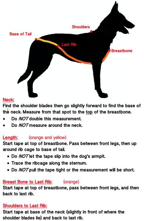 Diy Dog Sled, Skijoring Dog Training, Dog Carting, Dog Sled Aesthetic, Harness Pattern, Wilderness Skills, Sled Dog Harness, Dog Jacket Patterns, Dog Harness Pattern