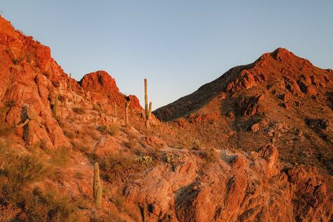 Rock mountains with desert background nature landscape | free image by rawpixel.com / Megan Rogers Background Nature Landscape, Cactus Arizona, Desert Arizona, Desert Background, Arizona Cactus, Background Nature, Arizona Desert, Palm Springs California, Desert Cactus