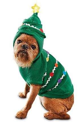 Sweaters For Dogs, Dog Christmas Pictures, Best Ugly Christmas Sweater, Christmas Tree Dog, Ugly Holiday Sweater, Dog Christmas Card, Ugly Christmas Sweaters, Dog Christmas Ornaments, Christmas Family Photos