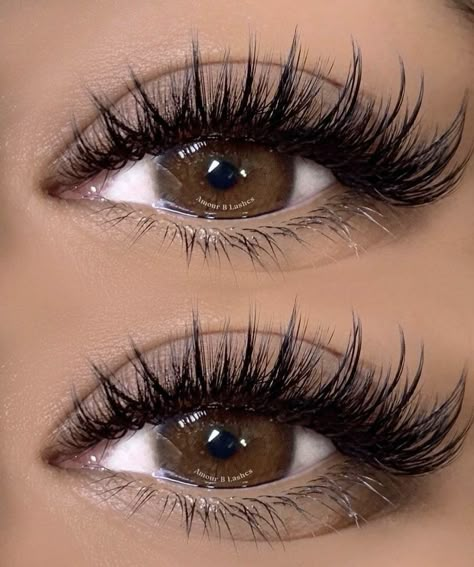 Lash Map, Natural Fake Eyelashes, Lash Training, Best Lash Extensions, Lashes Fake Eyelashes, Cat Eye Lash, Eyelash Extensions Styles, Lash Extensions Styles, Lash Sets