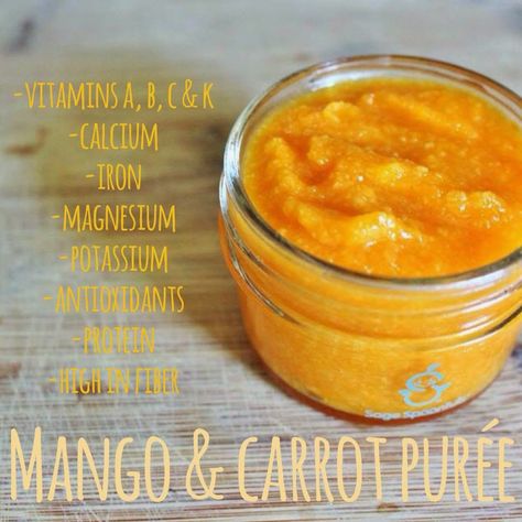 Mango & carrot puree! Packed full of vitamins and a super sweet veggie fruit combination! Low histamine, organic, homemade baby food. Mango Baby Food, Baby Food Guide, Carrot Puree, Baby Food Combinations, Fruit Combinations, Diy Baby Food, Food Combinations, Low Histamine, Healthy Baby Food