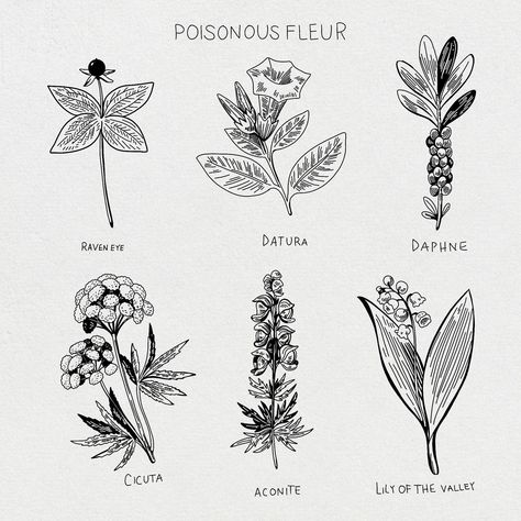 ✅CLICK THE LINK!⬆️Download these FREE Procreate brushes for poisonous flowers! Perfect for adding realistic detail to your illustrations. #procreate #brushes . #Poisonous_Flowers_Tattoo #Gargoyle_Character #Poison_Flowers #Sanrio_Amiibo_Cards Poisonous Botanical Illustration, Poisonous Flowers Drawing, Poison Flowers Tattoo, Poisonous Flowers Tattoo, Asap Tattoo, Gargoyle Character, Poison Flowers, Flower Procreate, Gargoyles Characters