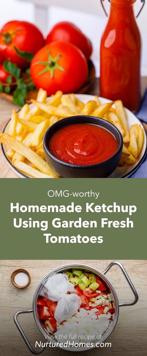 OMG-worthy Homemade Ketchup Using Garden Fresh Tomatoes - Nurtured Homes Ketchup Recipe Fresh Tomatoes, Tomato Side Dishes, Homemade Ketchup Recipes, Spicy Ketchup, Ketchup Recipe, Fresh Tomato Recipes, Varieties Of Tomatoes, Homemade Ketchup, Homemade Condiments