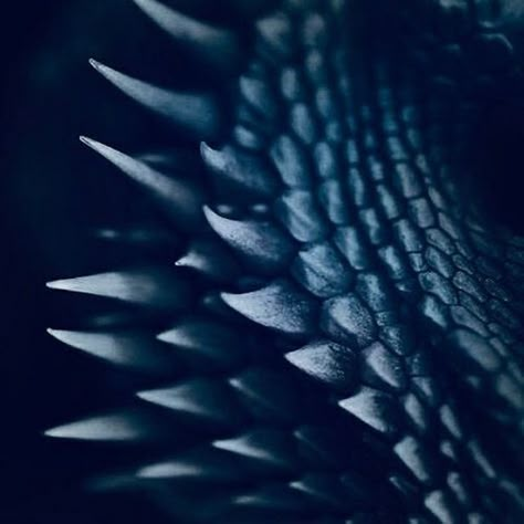 Blue Scales Aesthetic Dragon, Blue Dragon Scales, Blue Scales Aesthetic, Dragon Blue Aesthetic, Kobold Aesthetic, Dragon Aesthetic Blue, Sea Dragon Aesthetic, Dnd Blue Dragon, Dnd Cleric Aesthetic