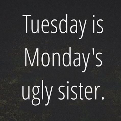 LOL!! #Tuesday #Humor I Hate Mondays, Tuesday Quotes, Tuesday Humor, Monday Humor, Weekday Quotes, Weekend Quotes, Humor Mexicano, Humor Inappropriate, Monday Quotes