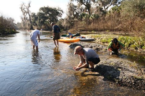 Florida Fossils, Peace River, Fossil Hunting, Madeira Beach, Visit Florida, Fishing Charters, At Peace, Fishing Villages, Florida Travel