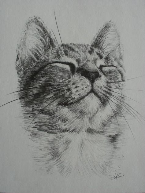 Realistic Cat Drawing, Sketch Cat, Cat Face Drawing, Tupac Art, Cats Art Drawing, Pencil Drawings Of Animals, Art Faces, Animal Drawings Sketches, Cat Drawings