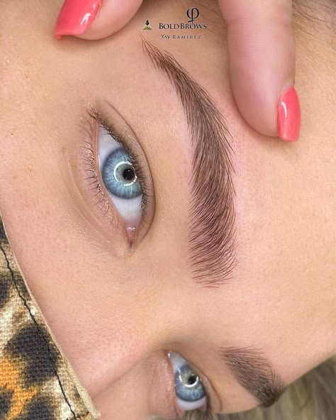 Brow Design Eyebrows, Microblading Eyebrows Hair Strokes, Feather Brows Microblading, Straight Microbladed Eyebrows, Eye Brow Inspiration, Bushy Brows Natural Thick Eyebrows, Fluffy Brows Microblading, Micro Bladed Brows, Microblading Eyebrows Natural Look