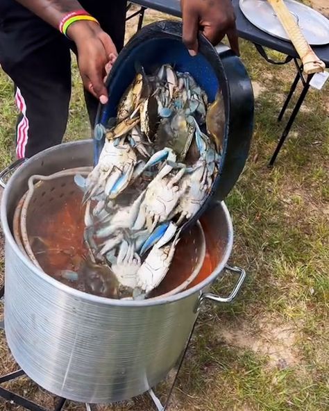 Blue Crab Boil 🦀🌽 | Don't forget that cajun Louisiana seasoning 🦀🌽 | By FOODbible Blue Crab Boil, Blue Crab Boil Recipe, Blue Crab Recipes, Crab Boil Recipe, Boiled Food, Crab Boil, Crab Recipes, Blue Crab, Delicious Recipes