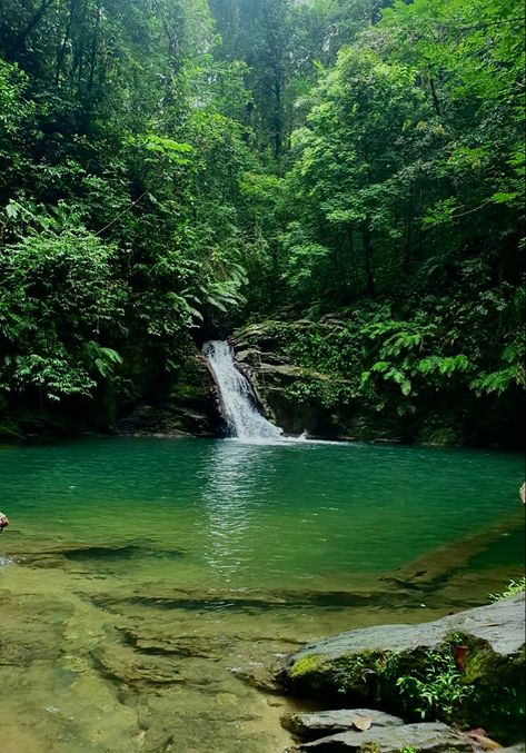 Green Island Aesthetic, Pool In The Desert, Island Life With Friends, Island Nature Aesthetic, Island Forest Aesthetic, Tropical Nature Aesthetic, Carribean Island Aesthetic, Living On An Island Aesthetic, Tropical Green Aesthetic