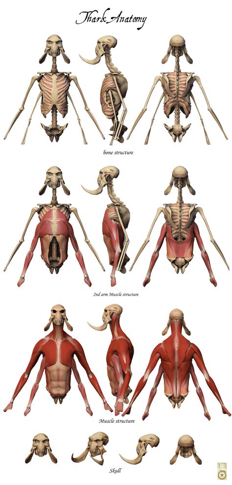 Alien Anatomy Concept Art, John Carter Of Mars Concept Art, Alien Anatomy, Alien Skeleton, Bug People, Alien Comic, Green Martian, Arm Anatomy, John Carter Of Mars