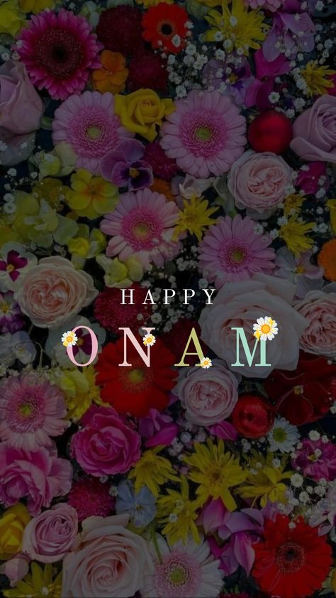 Onam wallpaper instagram story ideas✨ onam kerala Onam Story Layout, Happy Onam Video Status, Onam Story Ideas, Onam Wallpaper, Onam Aesthetic, Onam Songs, Onam Photos, Onam Kerala, Cute Henna Designs